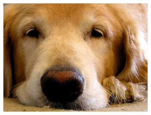 Tired