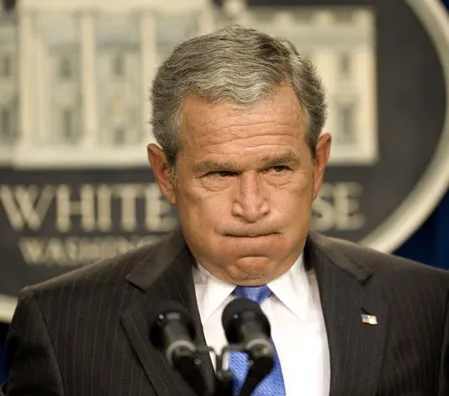 Bushwhacked